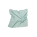 Little Botanic Label Playcycle Speeldoek Mintgroen Little Botanic Label Playcycle Speeldoek Mintgroen