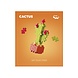 Plus Plus Plant Packs - Cactus Plus Plus Plant Packs - Cactus