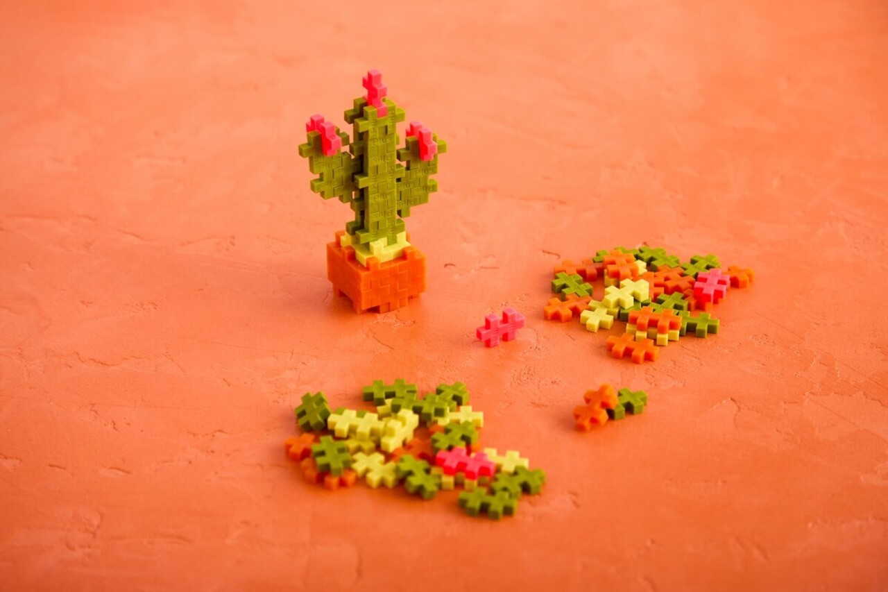Plus-Plus Plant Packs - Cactus