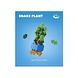 Plus Plus Plant Packs - Snake Plant Plus Plus Plant Packs - Snake Plant
