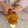 Zaklamp Lion Zaklamp Lion