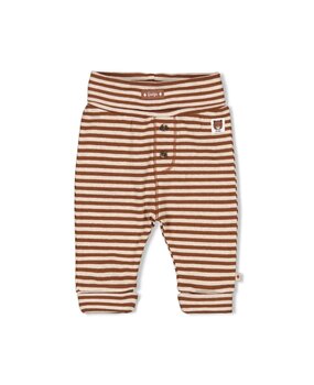Feetje Babykleding Broek Streep Wild World Bruin