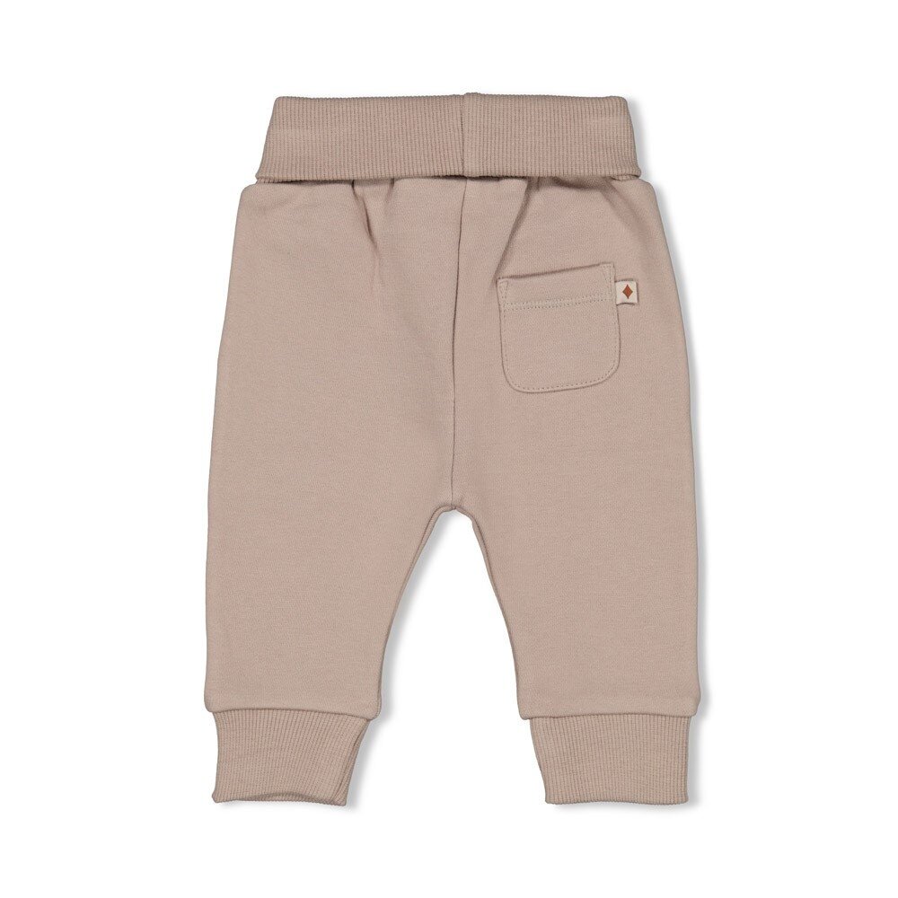 Feetje Babykleding Broek Wild World Grijs Feetje Babykleding Broek Wild World Grijs