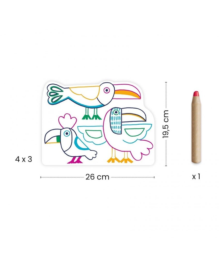 Djeco Kleurboek Wild Families