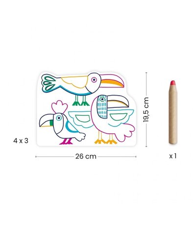 Djeco Kleurboek Wild Families