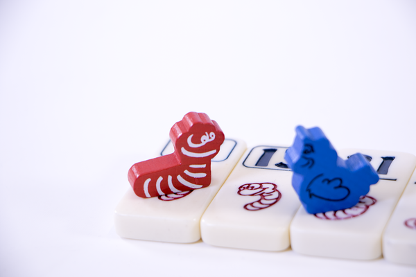 999 Games Regenwormen Uitbreiding