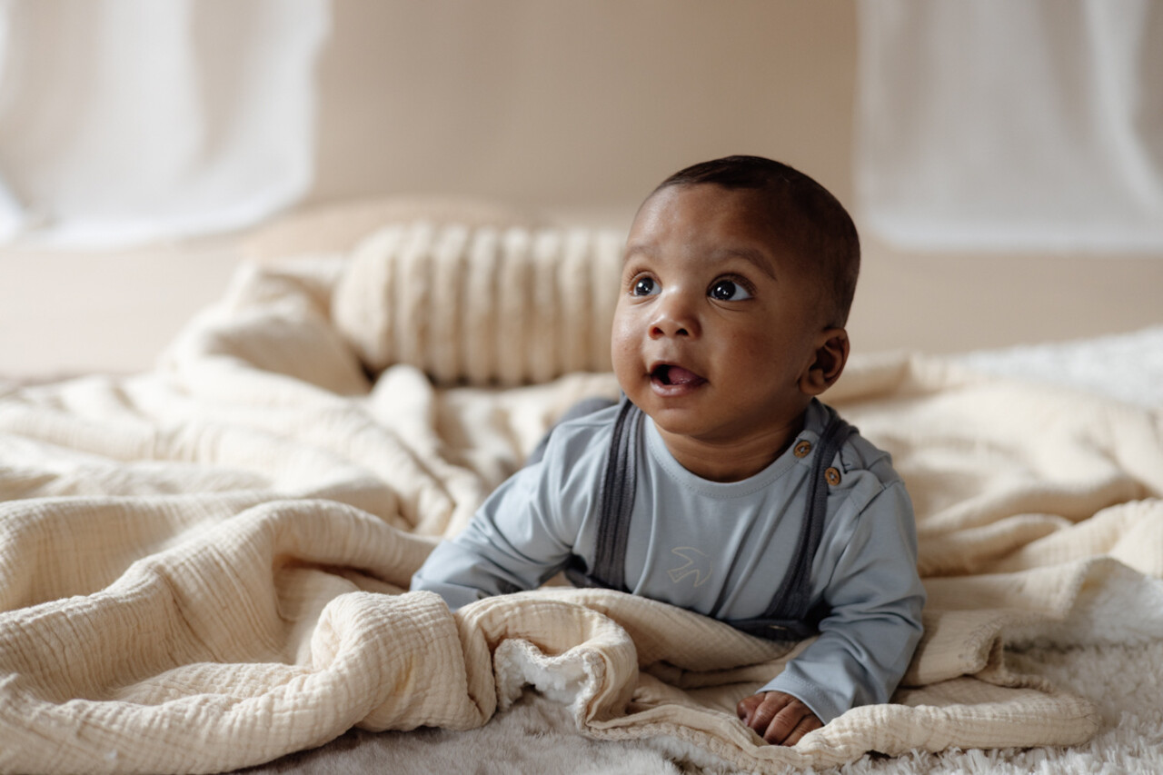 LEVV Shirt Lars Blue Grey