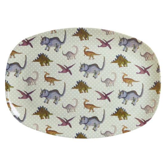 Melamine Bord New Dino afbeelding