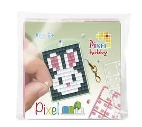 Pixelhobby Medaillion startset - Konijn