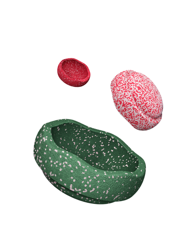 Stapelstein Special Trilogy Set Blush Stapelstein Special Trilogy Set Blush