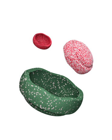 Stapelstein Special Trilogy Set Blush Stapelstein Special Trilogy Set Blush