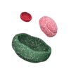 Stapelstein Special Trilogy Set Blush Stapelstein Special Trilogy Set Blush