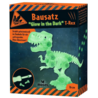 Dino Puzzel T-Rex Skelet Glow in the Dark