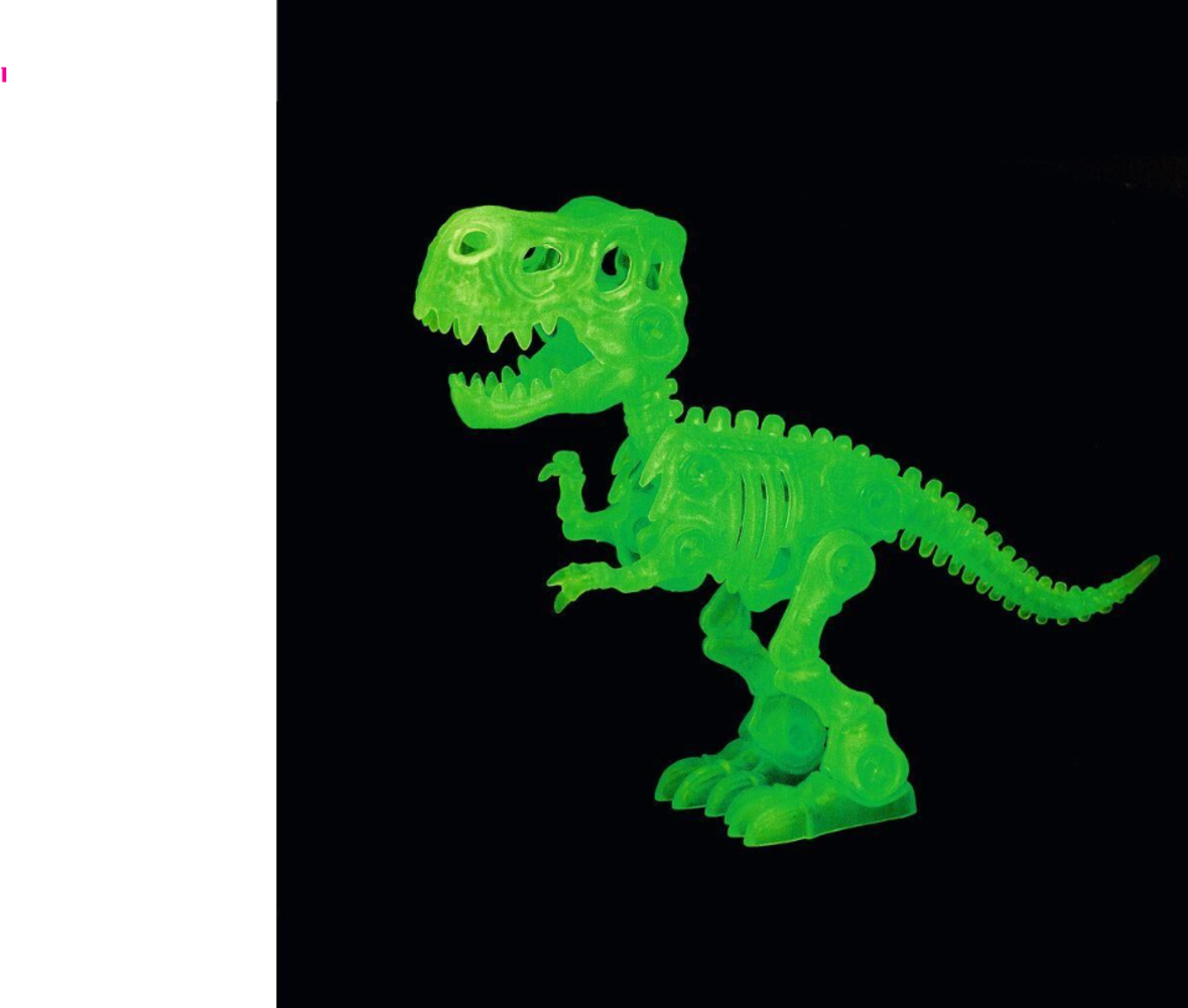 Dino Puzzel T-Rex Skelet Glow in the Dark