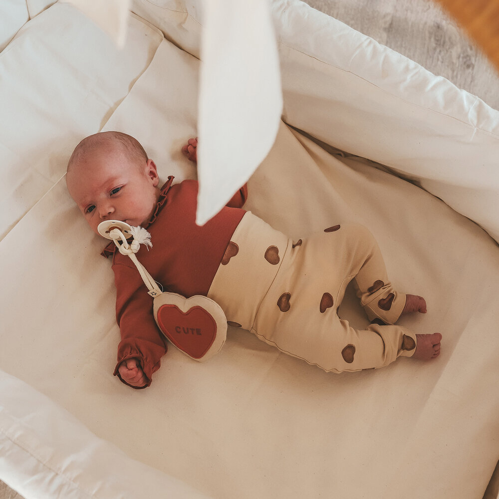 Your Wishes Shirtje Ruffle Withered Rose