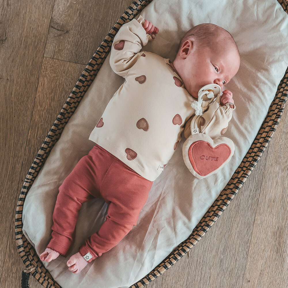 Your Wishes Legging Withered Rose