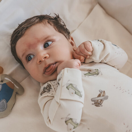 Your Wishes Cardigan Avion Birch