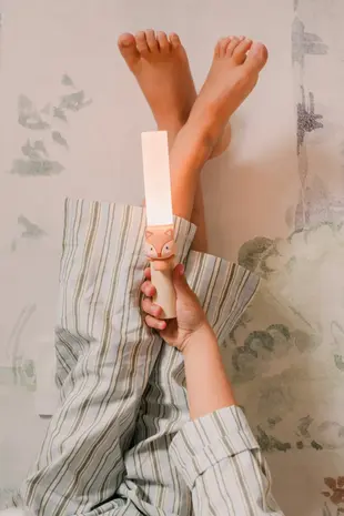 The Zoofamily  Zoo Light Fox