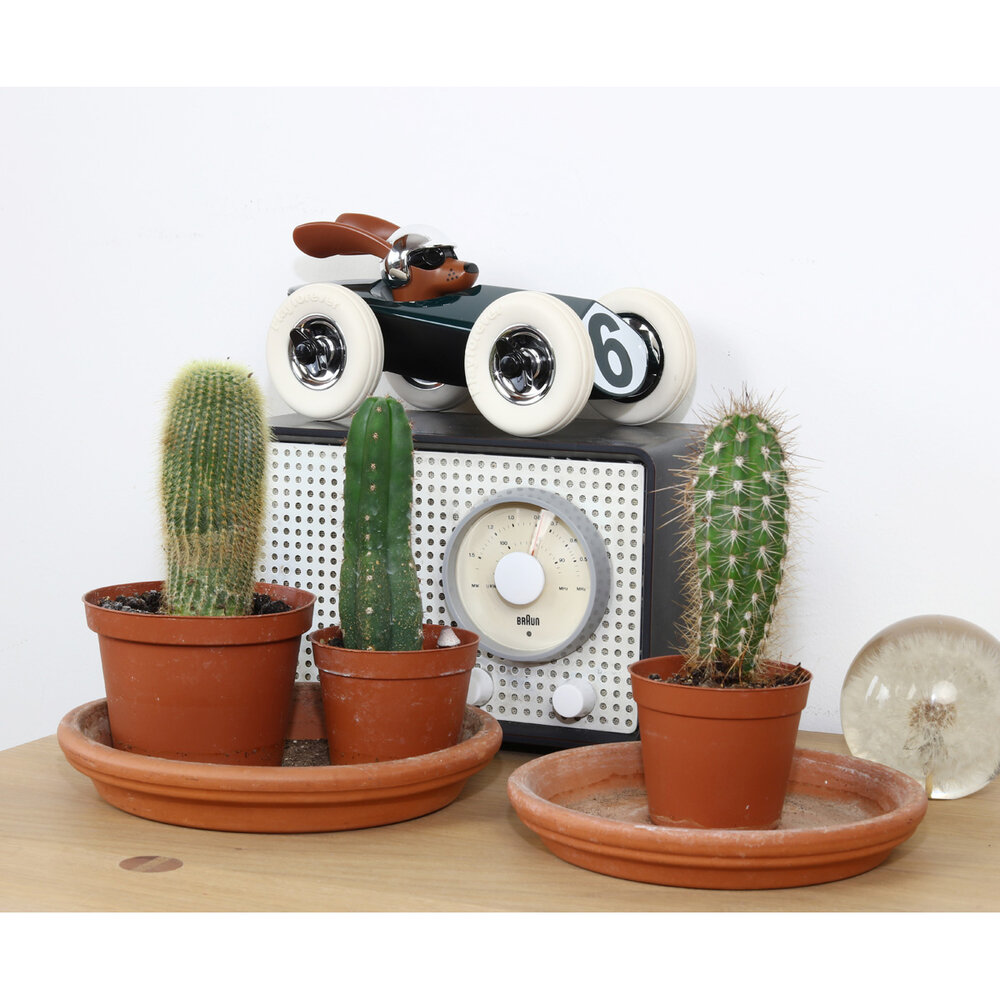 Playforever Auto Rufus Weller