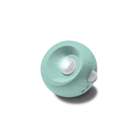 KidyWolf KIDYSTAR Ocean KidyWolf KIDYSTAR Ocean