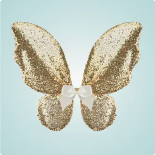 Carnavalsvleugels voor kinderen