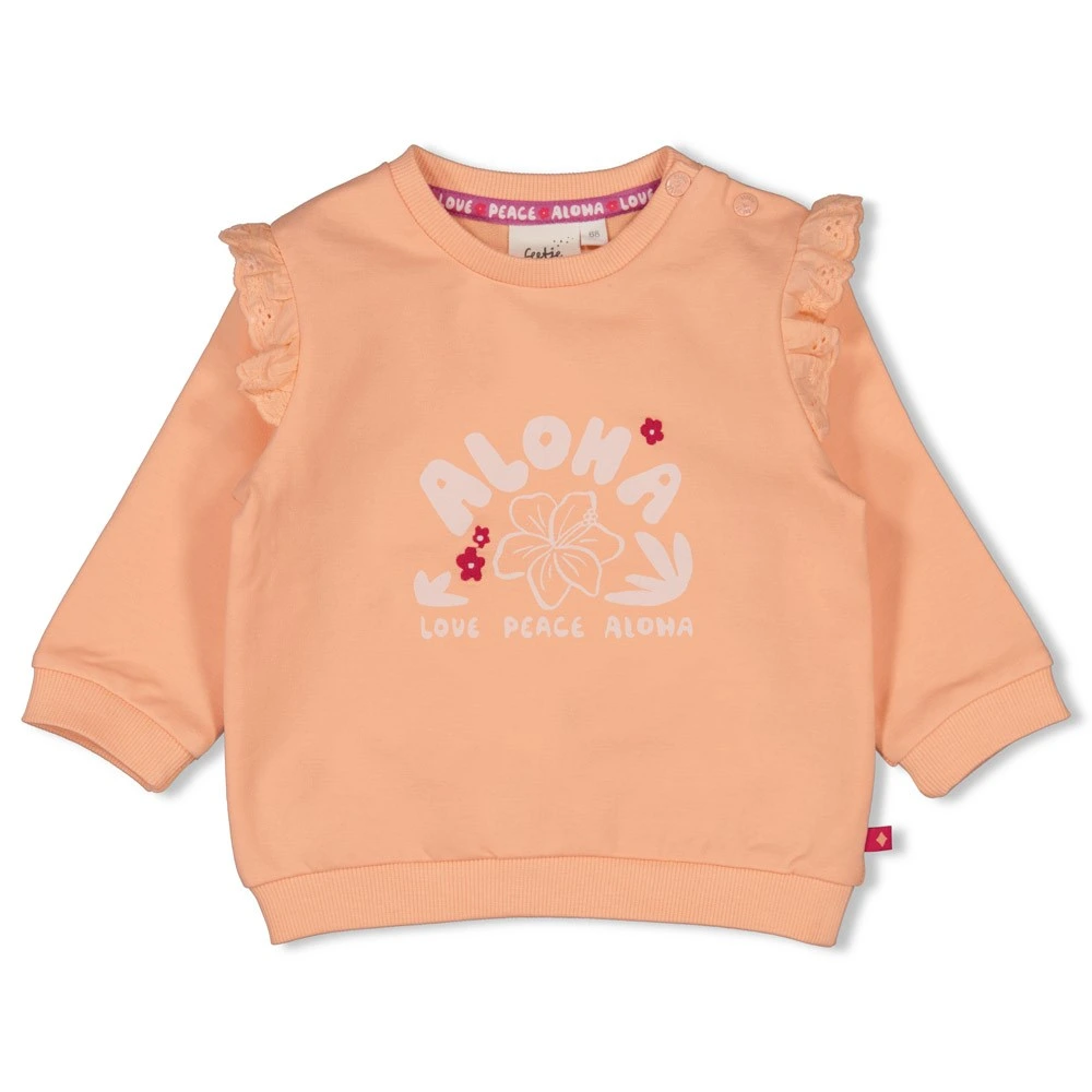 Sweater Relaxed Fit Love Peace Aloha Perzik afbeelding