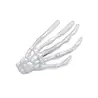 Great Pretenders Haarspeld Skeleton Hand