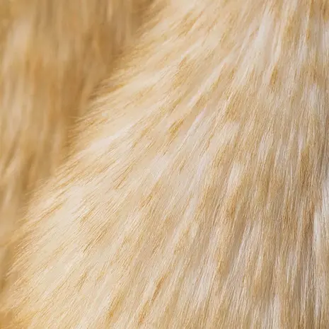 Jellycat Springlowe Luxe Bunny Big