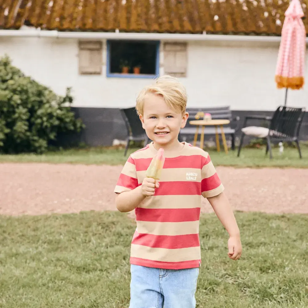 Daily7 Shirt Big Stripe Chrysanthemum