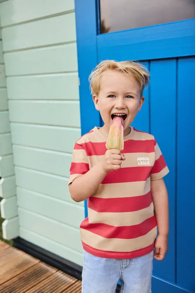 Daily7 Shirt Big Stripe Chrysanthemum