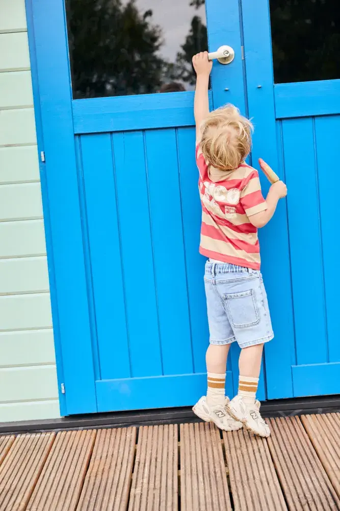 Daily7 Shirt Big Stripe Chrysanthemum