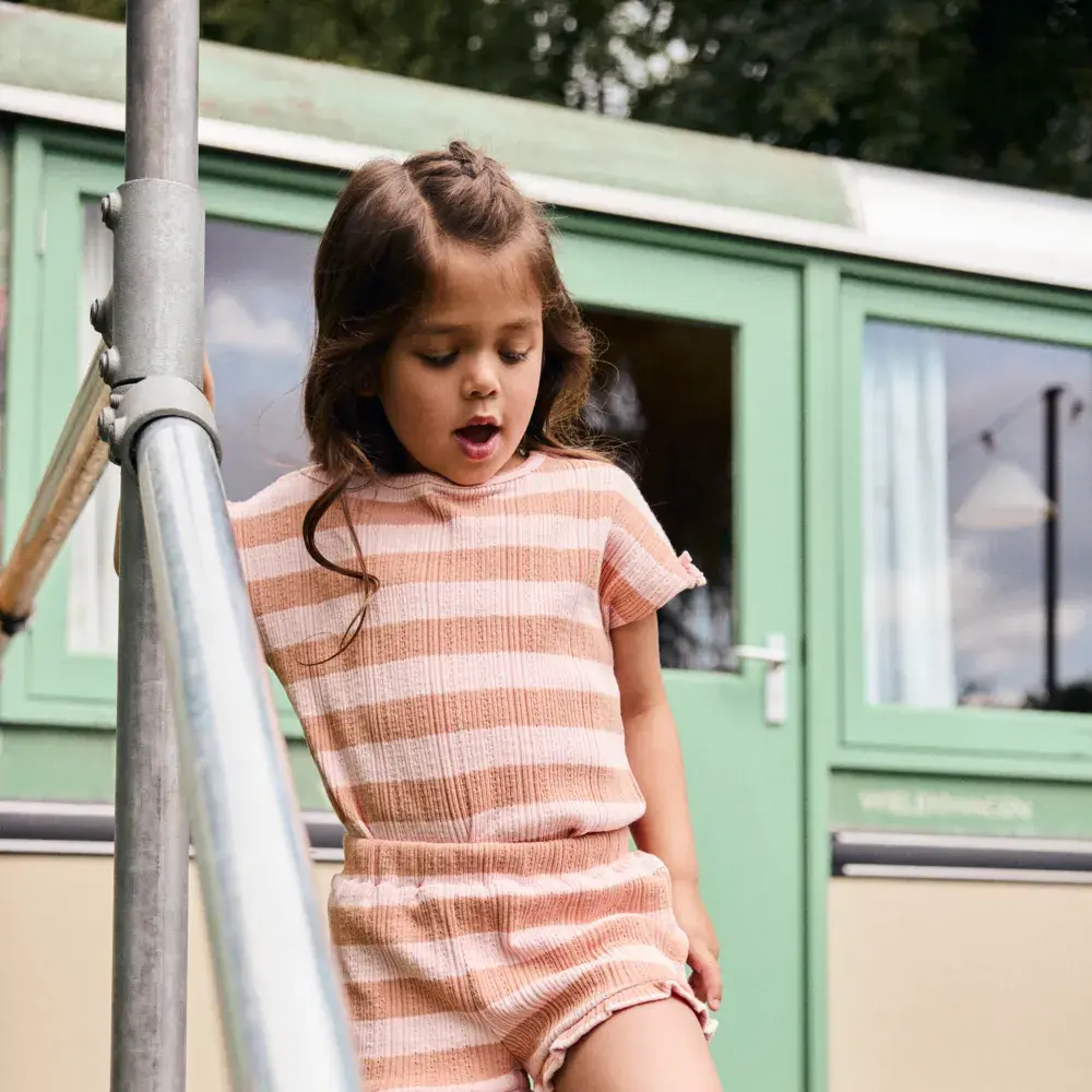 Daily7 Shirt Fancy Stripe Silver Pink