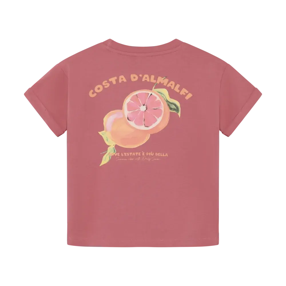 Daily7 Shirt Backprint Heather Rose