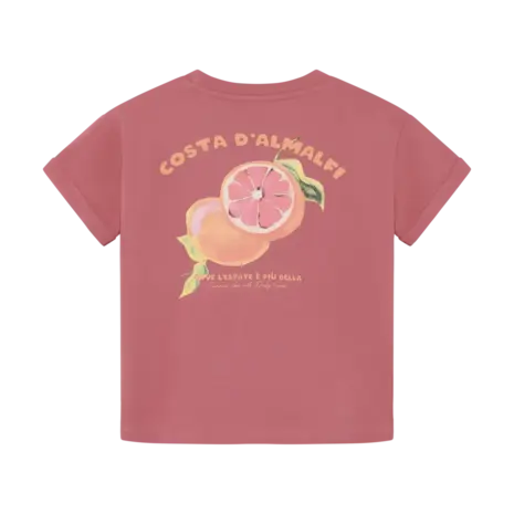 Daily7 Shirt Backprint Heather Rose