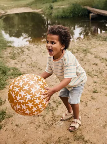 Daily7 Jeans Shorts Used Medium Denim