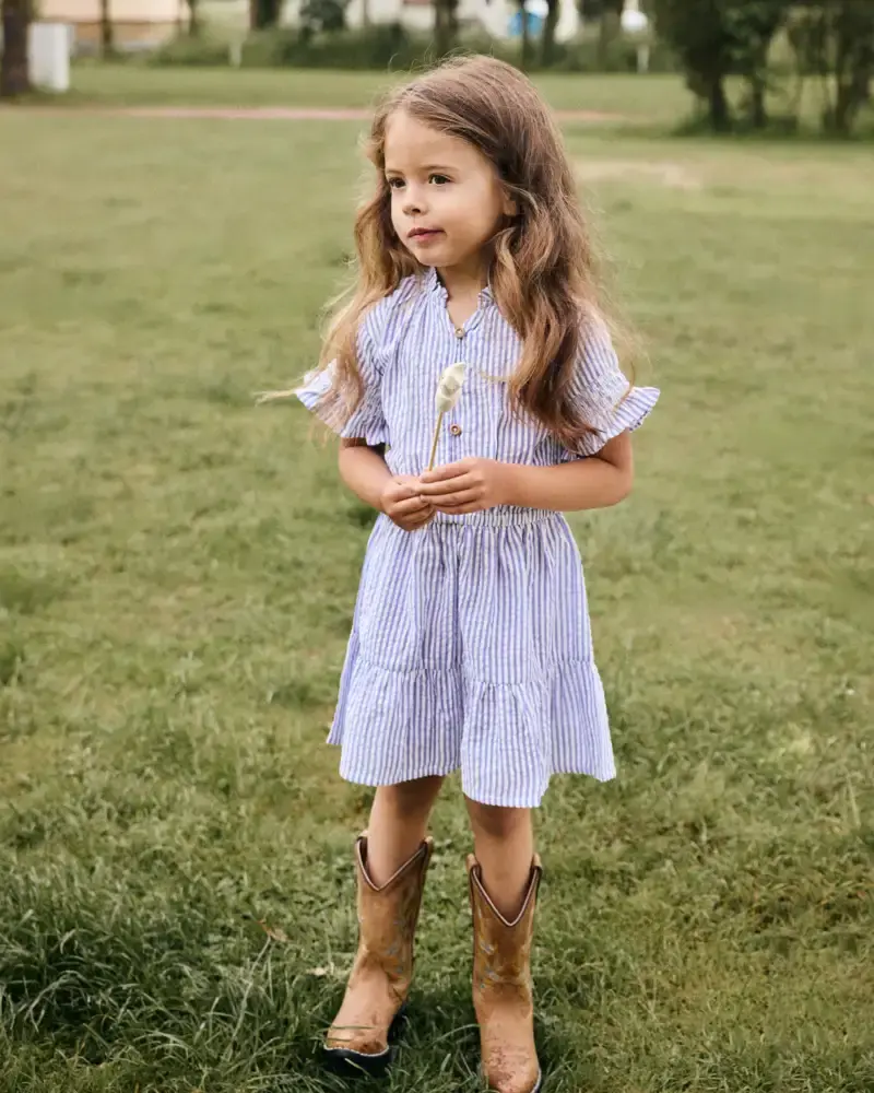 Daily7 Dress Stripe Ruffle Lolite