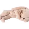 Maileg Sleeping Bunny Plush Small Powder