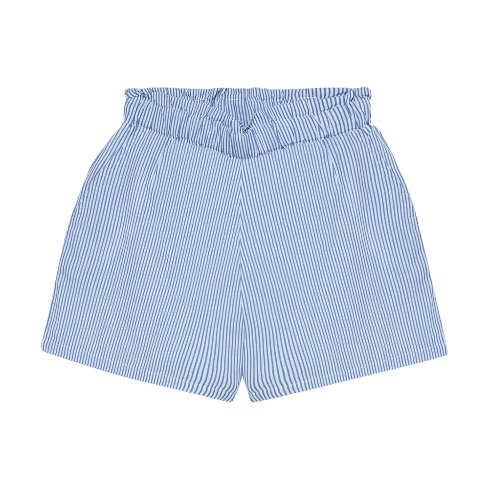 Shorts Stripe Regatta afbeelding