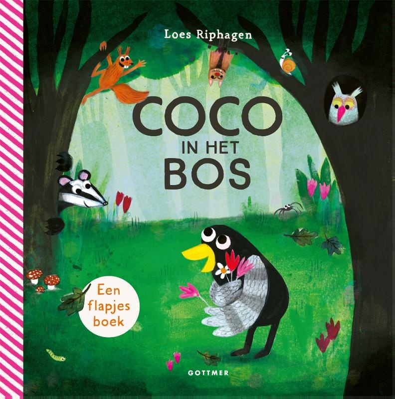 Coco In Het Bos Kartonboek afbeelding