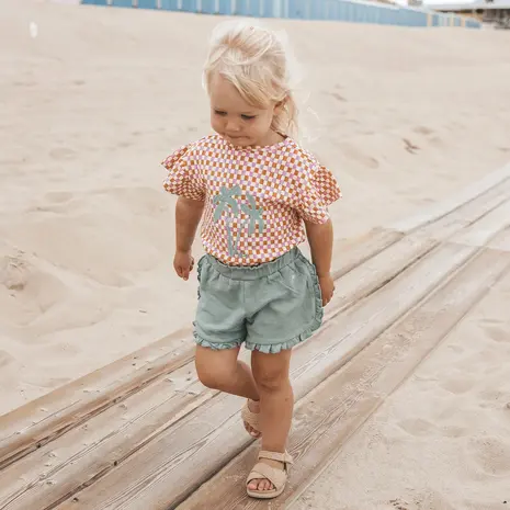 Your Wishes Shirt Ruffle Mini Check Multicolor