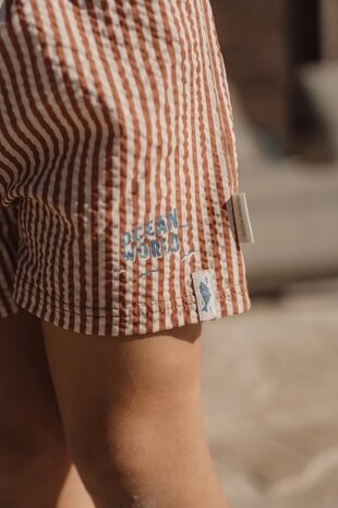 Little Dutch Zwemshort Ocean Brown Stripes