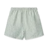 Liewood Zwemshort Duke Stripe Peppermint Crisp White