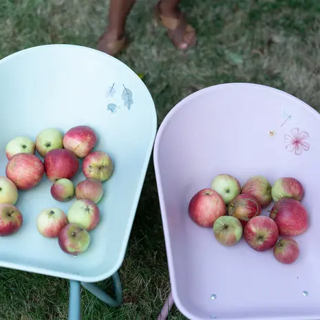Little Dutch Kruiwagen Fairy Garden