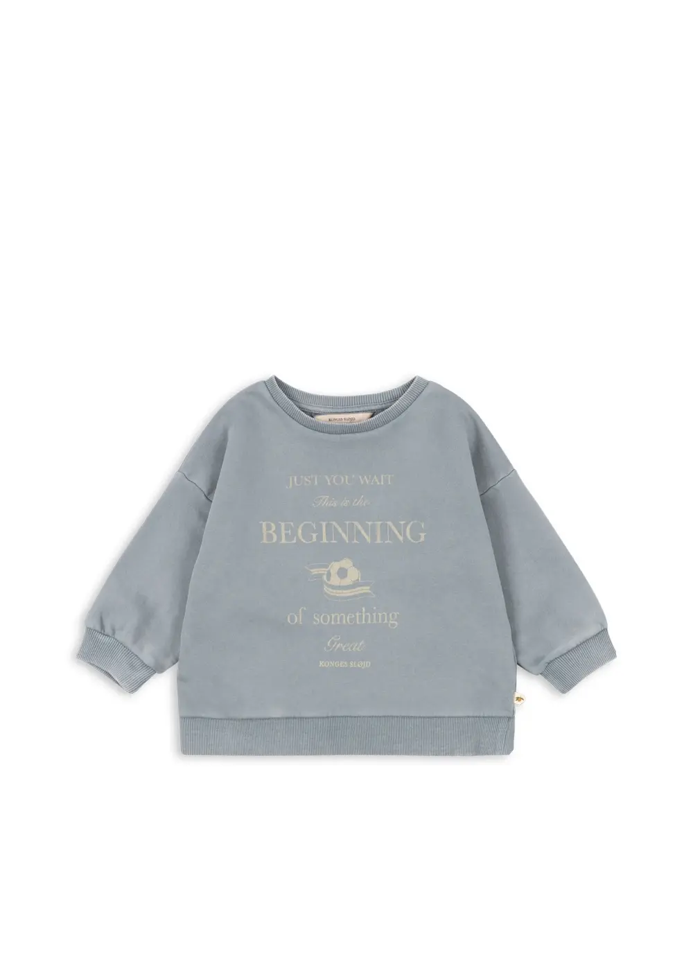 Sweat Shirt Lai Sleet afbeelding