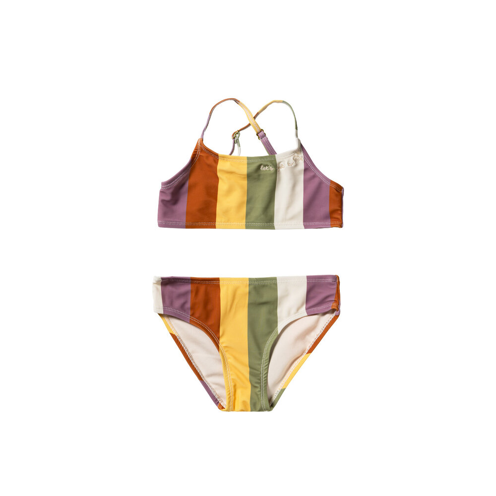 Salted Stories Bikini Multi Stripe Multicolor