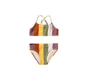 Salted Stories Bikini Multi Stripe Multicolor