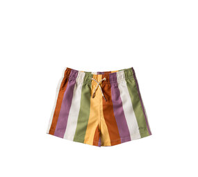 Salted Stories Zwembroek Multi Stripe Multicolor