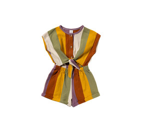 Salted Stories Jumpsuit Multi Stripe Multicolor