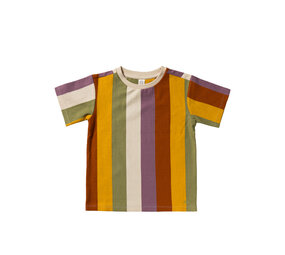 Salted Stories Shirt Multi Stripe Multicolor