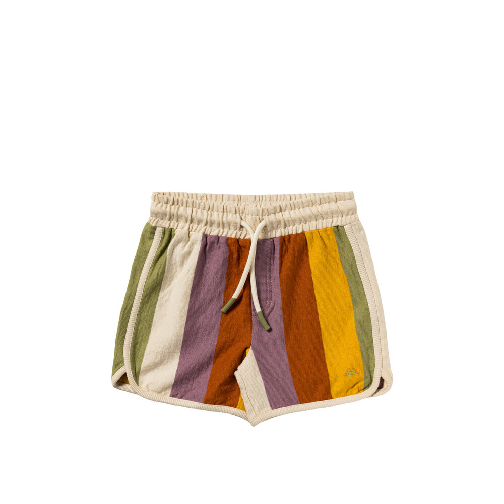Salted Stories Shorts Multi Stripe Multicolor